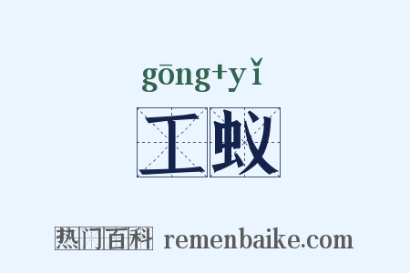 工蚁是什么意思的图片